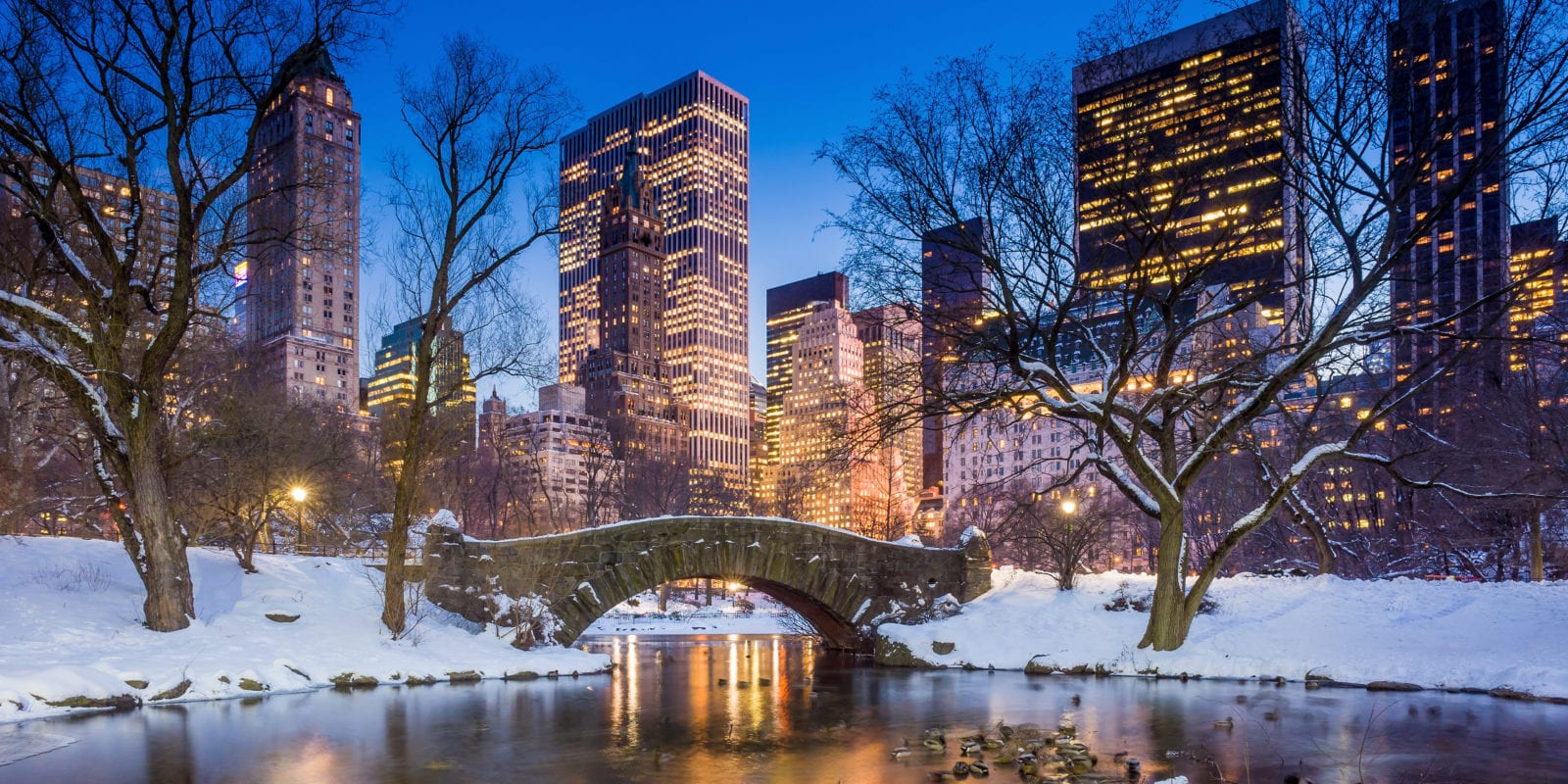 5-Things-to-Do-in-the-NY-Winter-2019