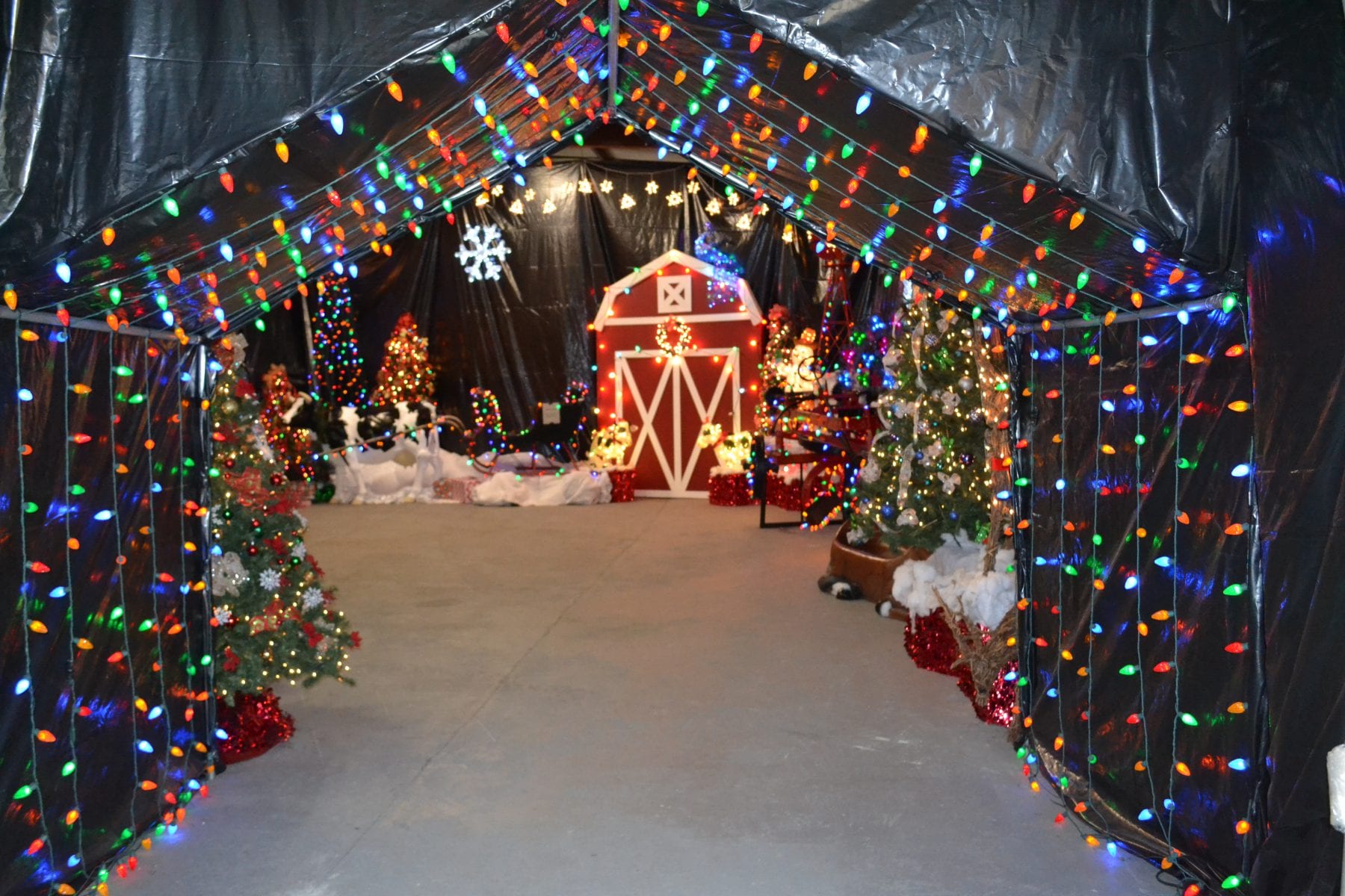 Brookhaven Town Holiday Spectacular - Metro Limousine Service