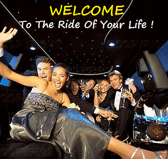 Limo & Party Bus Service in Long Island NY - Metro Limousine Service