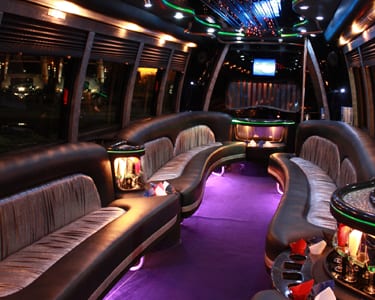 Long Island Party Bus - Metro Limousine Service