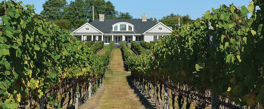 wine tours Long Island NY